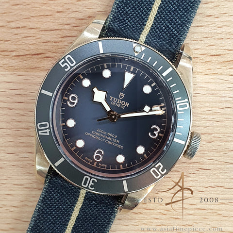 Full Set Tudor Black Bay Bronze 79250BA 43mm Grey Dial on Fabric Strap (2019)