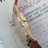 Omega Seamaster Never Polish Automatic Vintage Watch (1993)