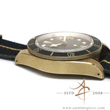 Tudor Black Bay Bronze 79250BA Grey (2019)