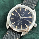 Omega Railmaster Co‑Axial Master Chronometer 40mm on Nylon Fabric Strap (2021)