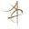 Asia Timepiece Centre logo