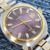Rare Purple Pagol Vintage Swiss Watch