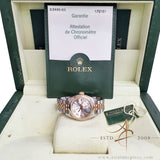 Rolex Lady Datejust 26 Ref 179161 Concentric Arabic Index Dial Everose Jubilee (2006)